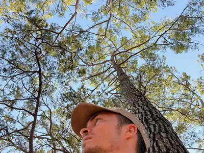 wait the sky