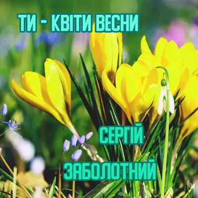 Обкладинка: Ти - квіти весни — Сергій Заболотний