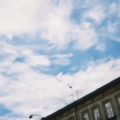 Обкладинка: Мрій про — Pero Culture Crew