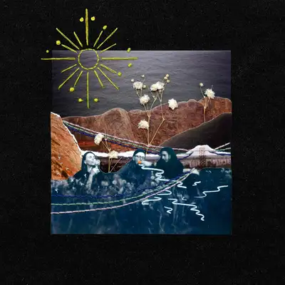 Cover art for Saltfalls — Homage
