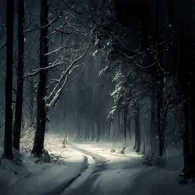 Обкладинка: Till Better Days | Snow — Serhij Kasinets