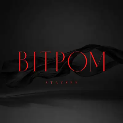Обкладинка: Вітром — STAYSEE