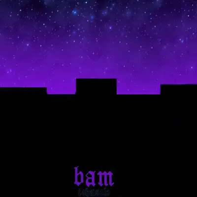 Обкладинка: Bam — tohasolo