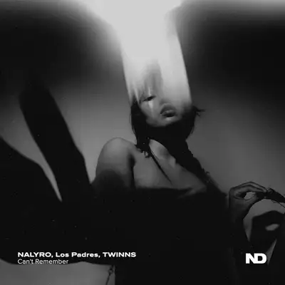 Обкладинка NALYRO — Can't Remember