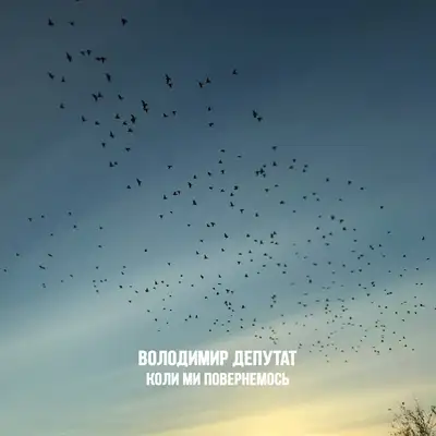 Володимир Депутат