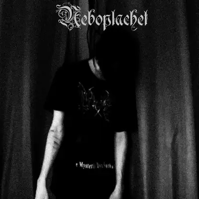 Обкладинка: Язвы — neboplachet