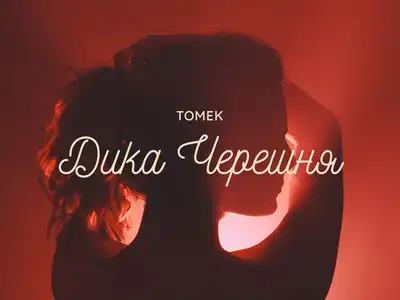 ТОМЕК