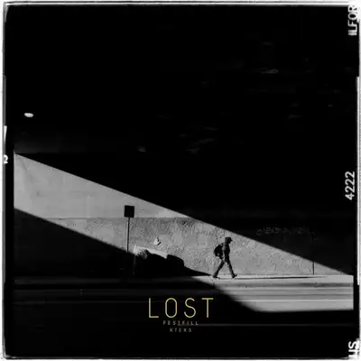 Обкладинка: Lost — Festfill