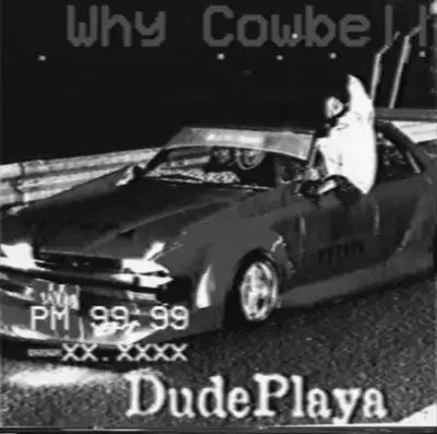 Cover art: Why Cowbell — DudePlaya