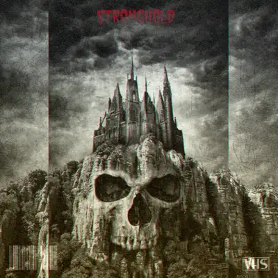 Обкладинка: STRONGHOLD — shisvi