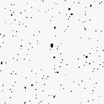 Обкладинка: Snowfall — Morphey