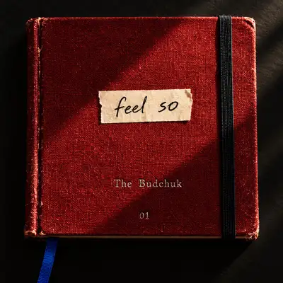 Cover art: feel so — The Budchuk