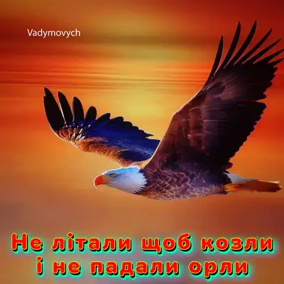 Cover art: Не літали щоб козли і не падали орли — Vadymovych
