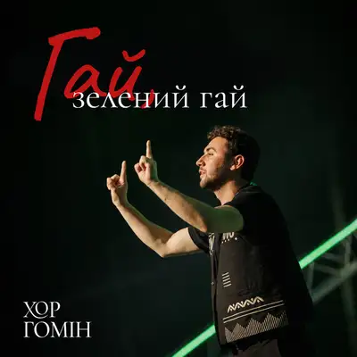 Обкладинка: Гай, зелений гай — Хор Гомін