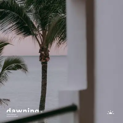 Обкладинка: Costa Blanca — Solara