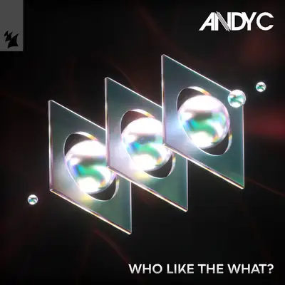 Обкладинка Andy C — Who Like The What?