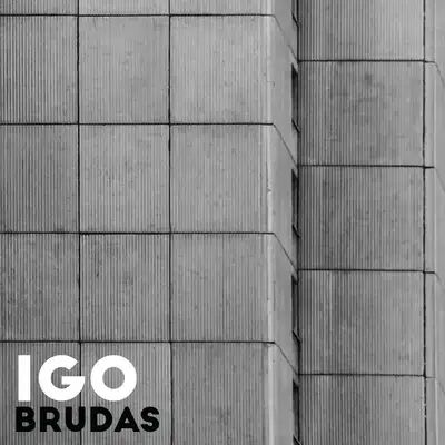 Обкладинка: Brudas — Igo