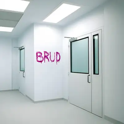 Обкладинка: Brud — DICHENKO