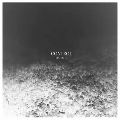 Обкладинка: Control - Acoustic — Linz