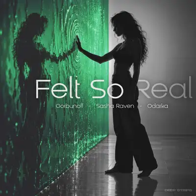 Обкладинка: Felt So Real — Gorbunoff