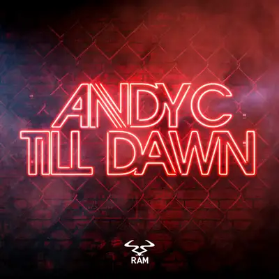 Обкладинка: Till Dawn - Edit — Andy C