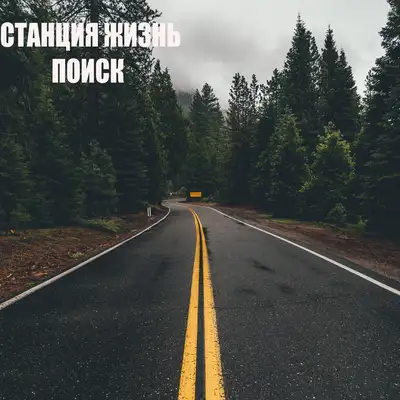 Обкладинка Станция Жизнь — Поиск