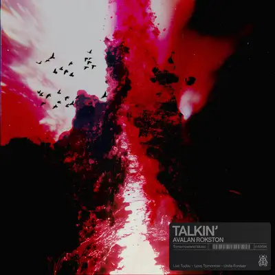 Обкладинка: Talkin' — AVALAN ROKSTON
