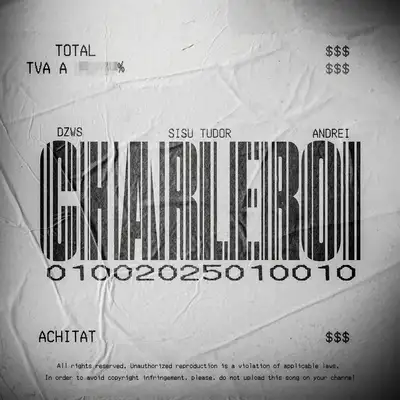 Обкладинка: CHARLEROI — DZWS