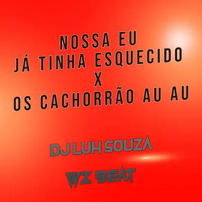 Обкладинка: Nossa Eu Já Tinha Esquecido X os Cachorrão Au Au — Dj Luh Souza
