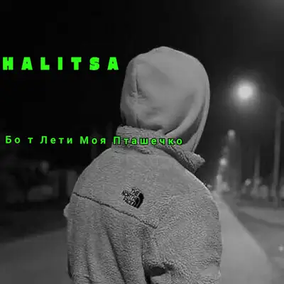 Обкладинка: Бо т Лети Моя Пташечко — HALITSA