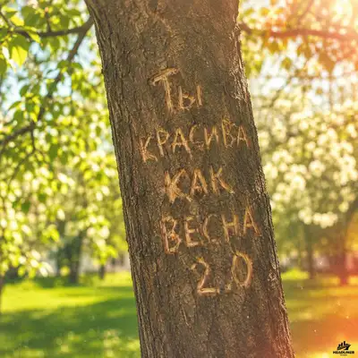 Обкладинка: Ты красива как весна 2.0 — Andy Shik