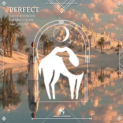 Обкладинка Cafe De Anatolia — Perfect