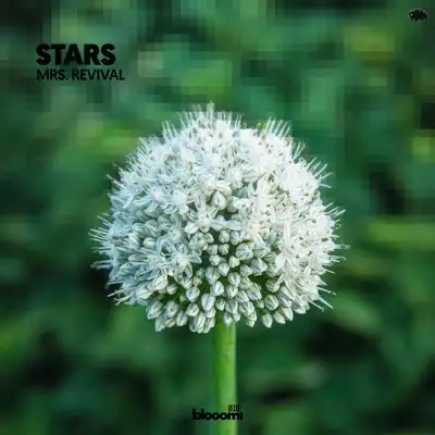 Обкладинка: Stars — Mrs. Revival