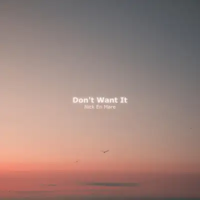 Cover art: Don't Want It — Nick En Mare