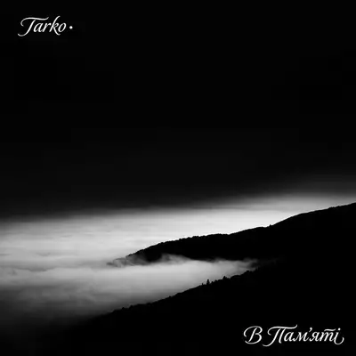 Обкладинка: В Пам'яті — Tarko