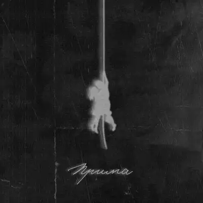 Обкладинка: Прима — Scroodgee