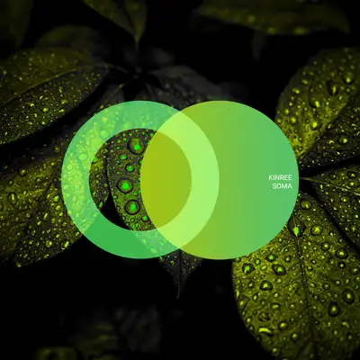 Обкладинка Kinree — Soma