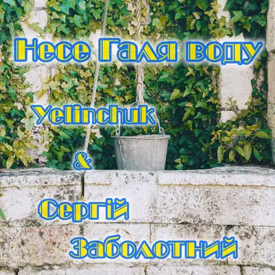 Обкладинка: Несе Галя воду - Yelinchuk Remix — Сергій Заболотний