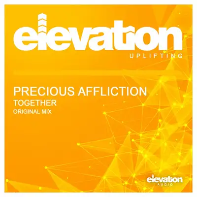 Обкладинка: Together — Precious Affliction