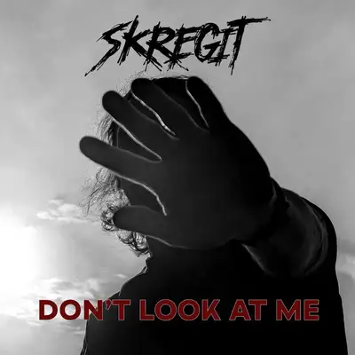 Обкладинка: Don't look at me — Skregit