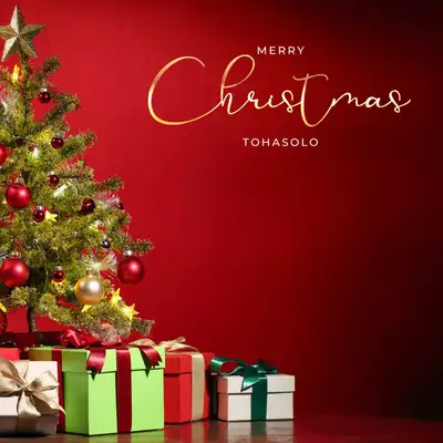 Обкладинка: Mery Christmas — tohasolo