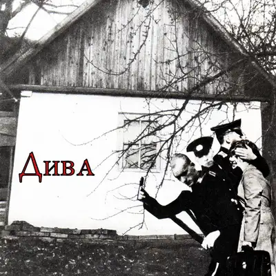 Обкладинка: ДИВА — ТРОЙ ТАРГЕТС