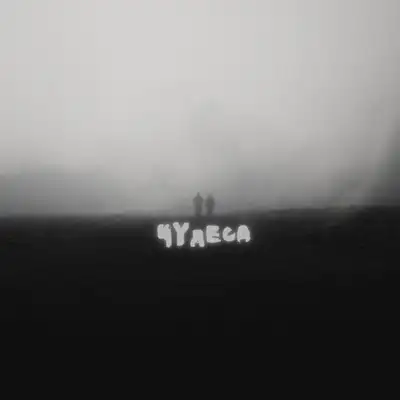 Обкладинка: Чудеса — ТрикоПюшон