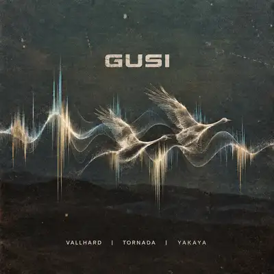 Cover art for Vallhard — Gusi
