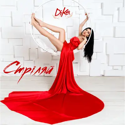 Обкладинка: Стріляй — Dika