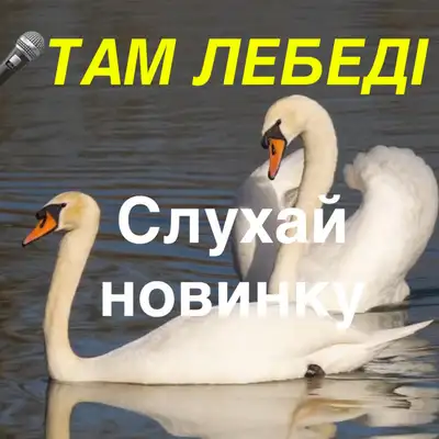Обкладинка: Там лебеді — Музика і виконання Олександр Соколов