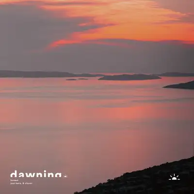 Обкладинка: Honest — just here.