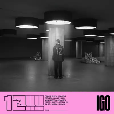 Обкладинка Igo — 12