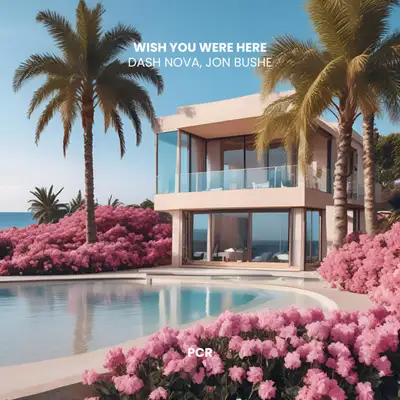 Обкладинка: Wish You Were Here - Jon Bushe Remix — Dash Nova
