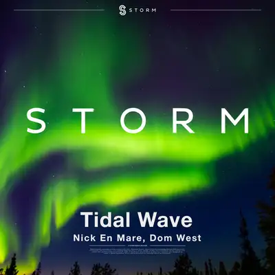 Обкладинка: Tidal Wave — Nick En Mare